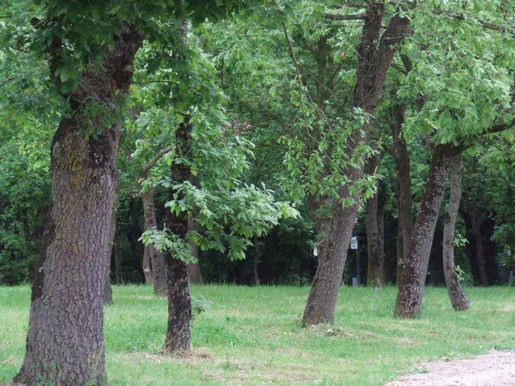 Camping Vila De ซาร์เรีย ภายนอก รูปภาพ